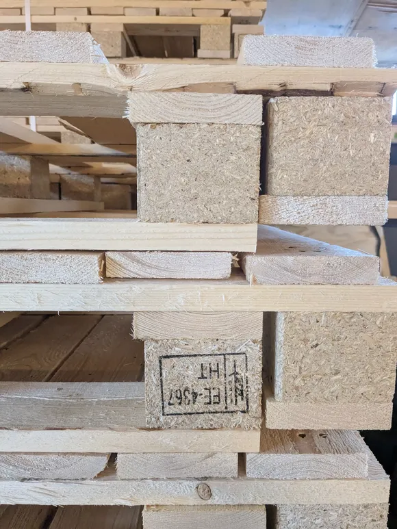 PXL 20250302 100328299